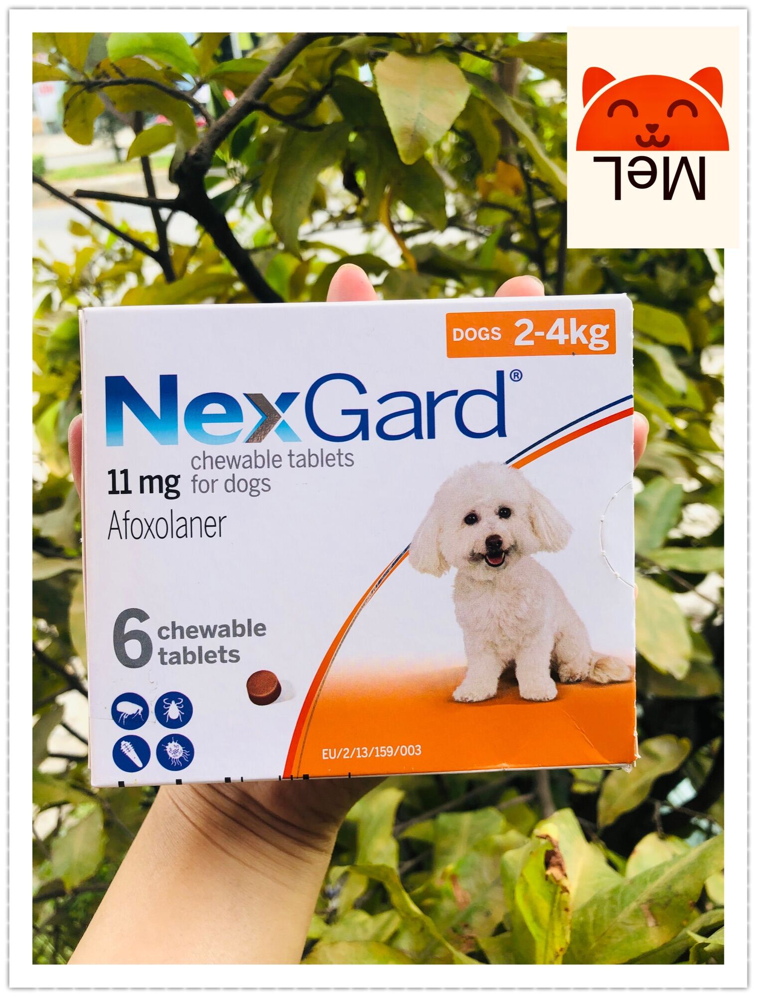Nextgard 11mg cho chó từ 2-4kg.