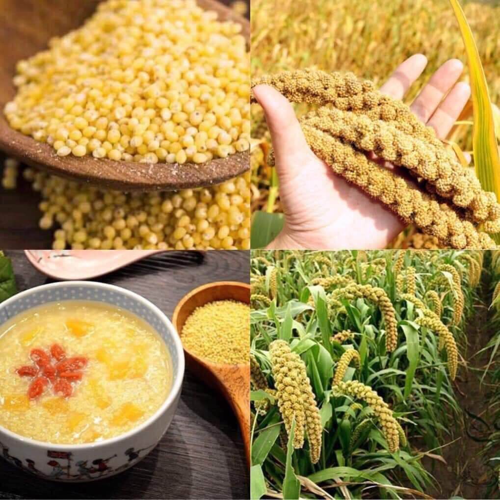 1kg hạt kê nếp