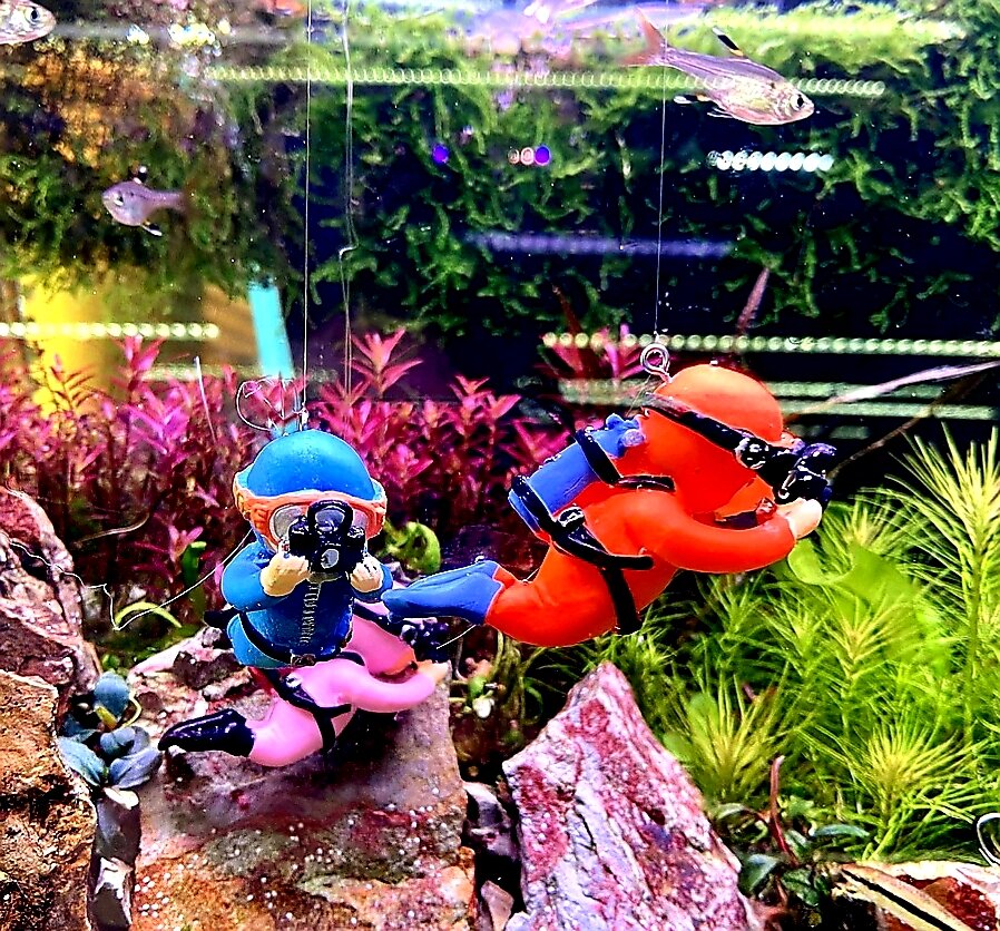 Mô hình thợ lặn - Trang trí bể cá - Mr Fish