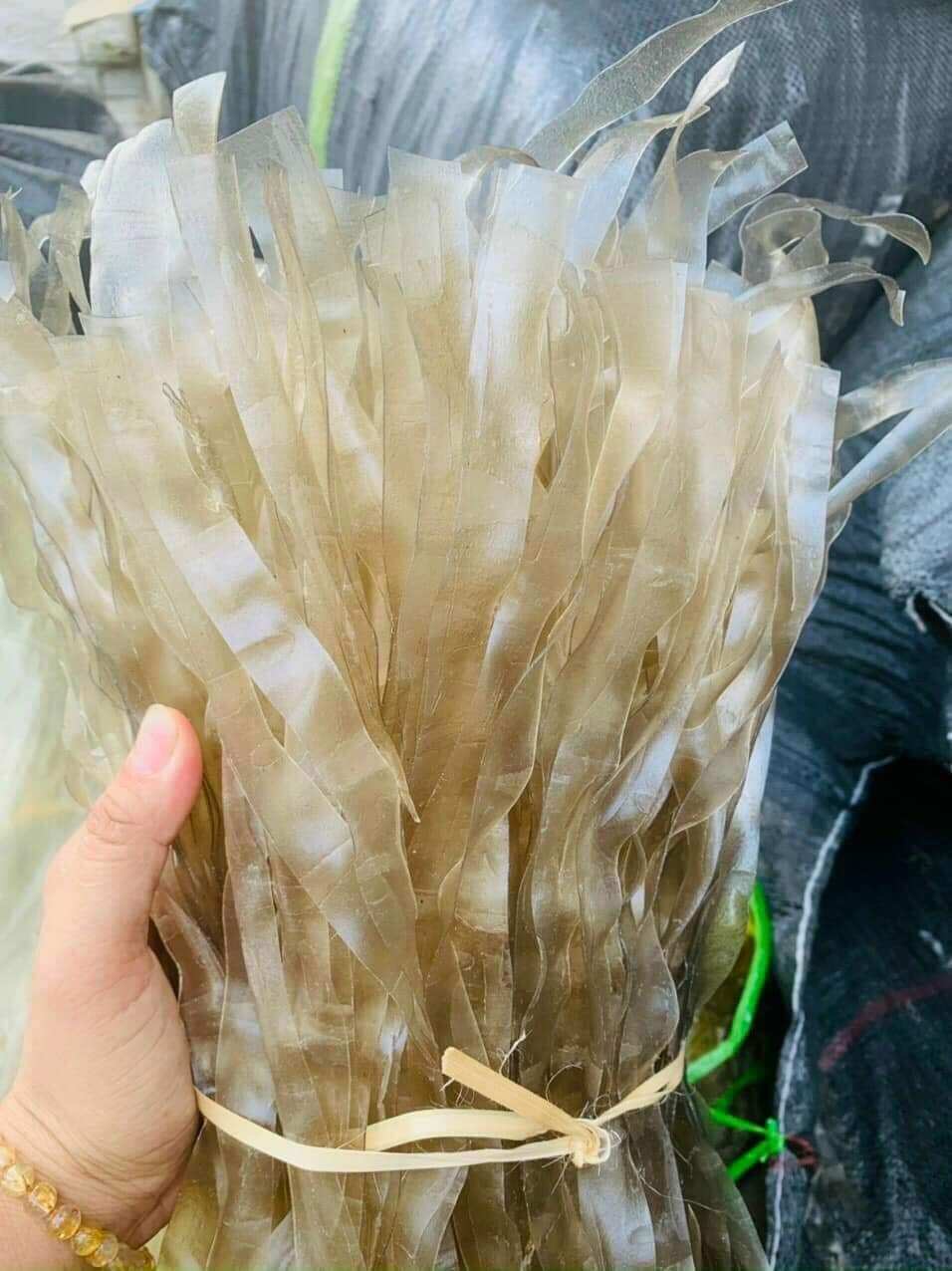1 kg miến dong thái tay sợi to Mường Phăng Điện Biên