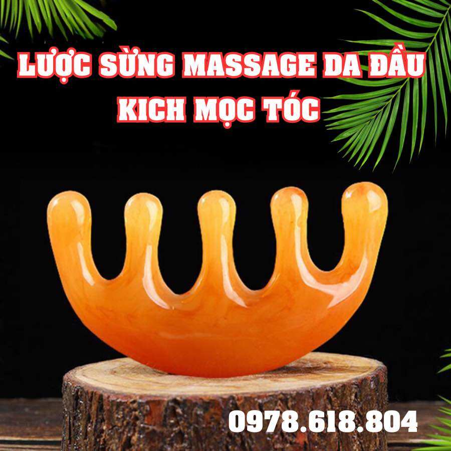 Lược sừng mat-xa da đầu cổ vai gáy kích thích mọc tóc
