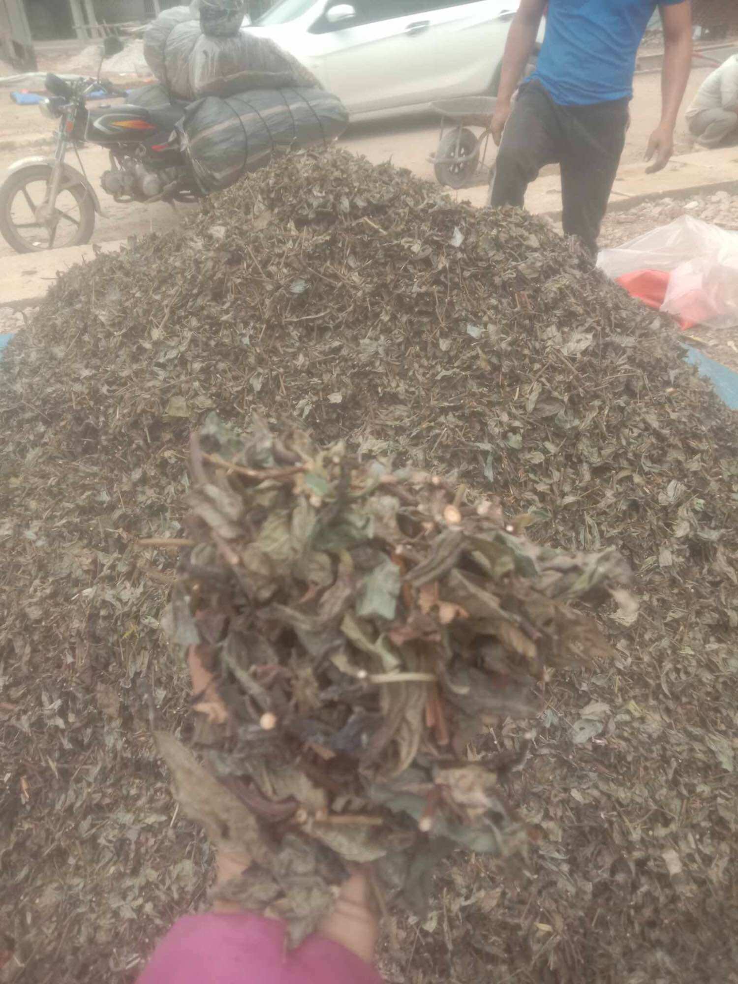 1 kg bầu đất tím khô