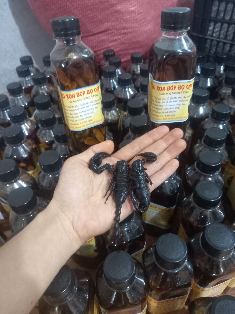 Xoa bóp bọ cạp