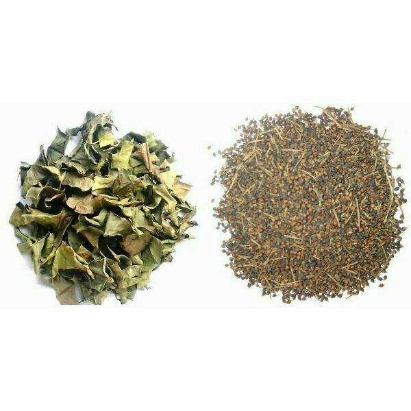 combo 1kg lá vối + 1kg nụ vối