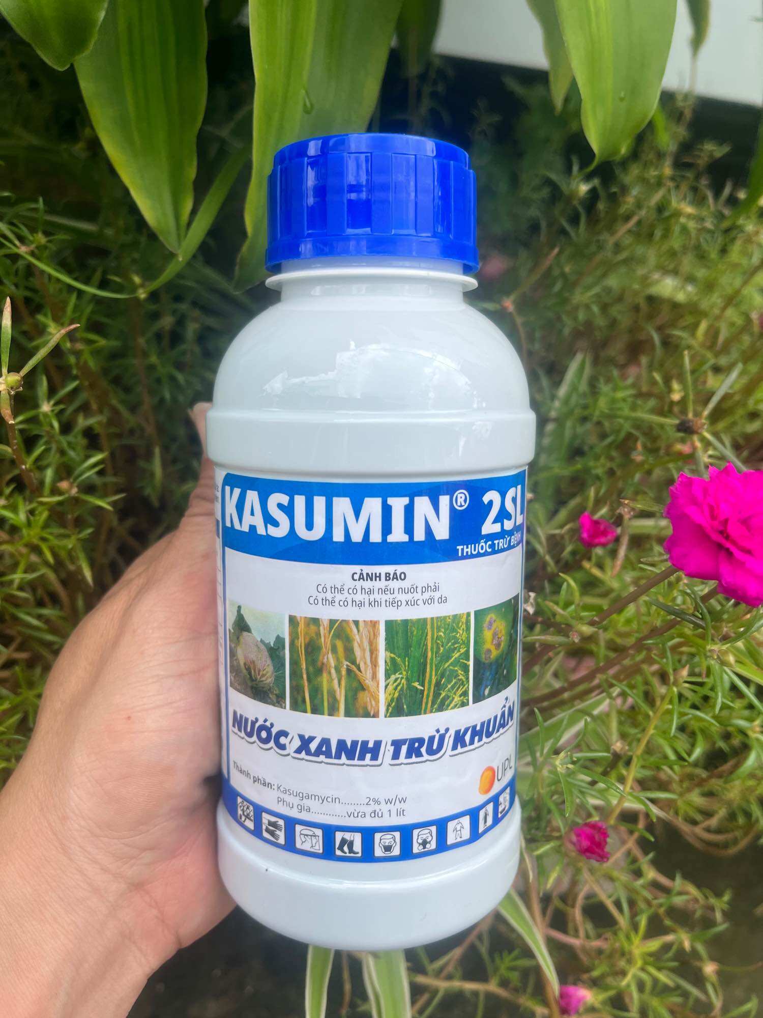 KASUMIN Trừ bệnh do vi khuẩn, đốm sọc, đốm lá, đen lép hạt do vi khuẩn