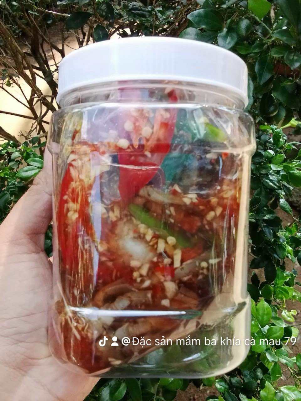 Đặc sản mắm ba khía sữa trộn sẵn ăn liền vị vừa ăn rất dòn siêu thịt 900g