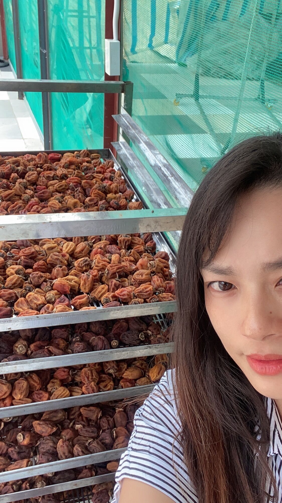 Hồng treo gió Đà Lạt gói 500g