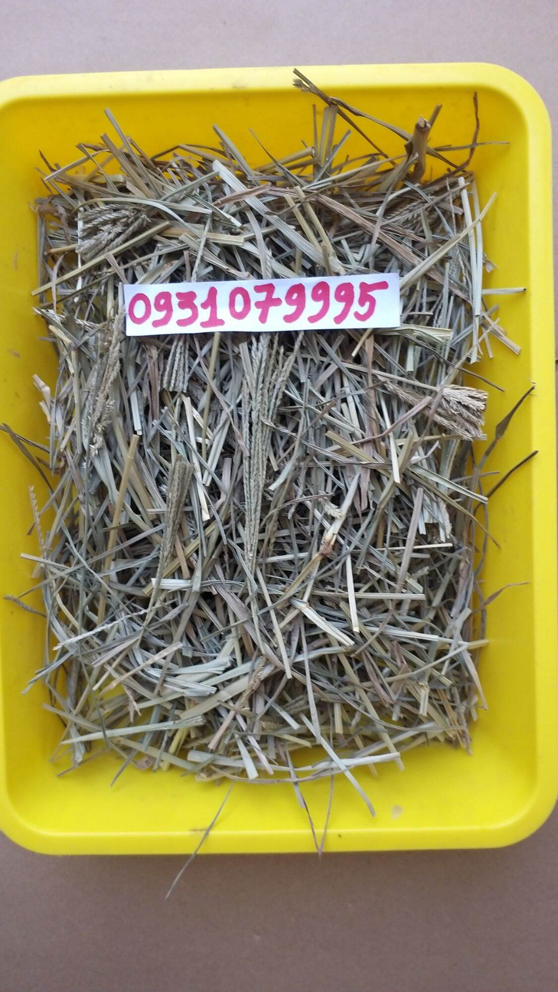 cây cỏ mần chầu phơi khô 1kg