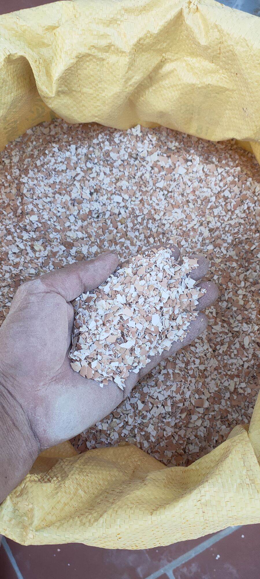 Vỏ trứng gà bổ sung canxi cho cây trồng 1kg/túi
