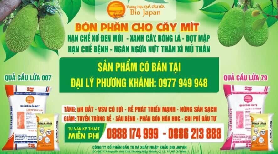 Phân bón Sơ đen mít | Cty Thuận Thành DK | 500ml