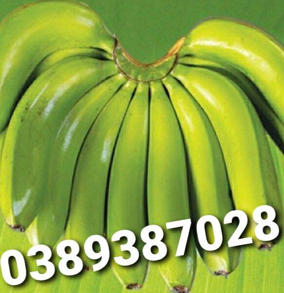 Chuối laba đà lạt,3kg