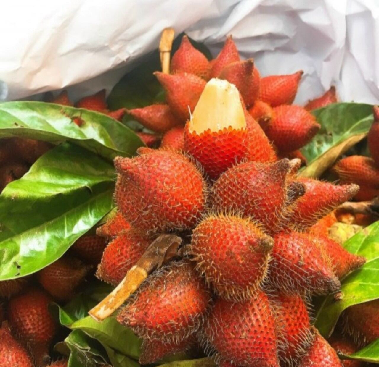 Trái mây thái - 1kg