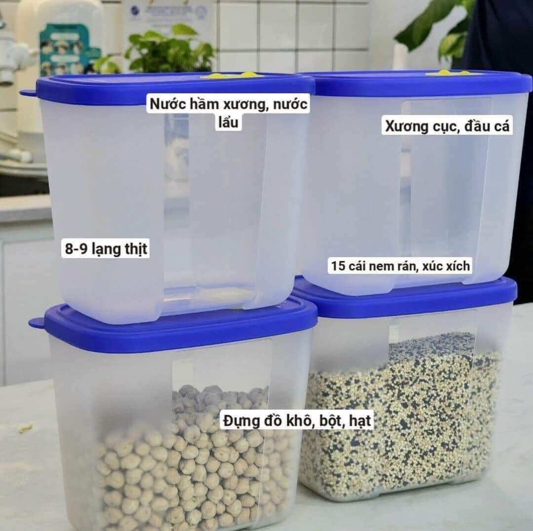 Set 4 hộp trữ đông 820ml Tupperware