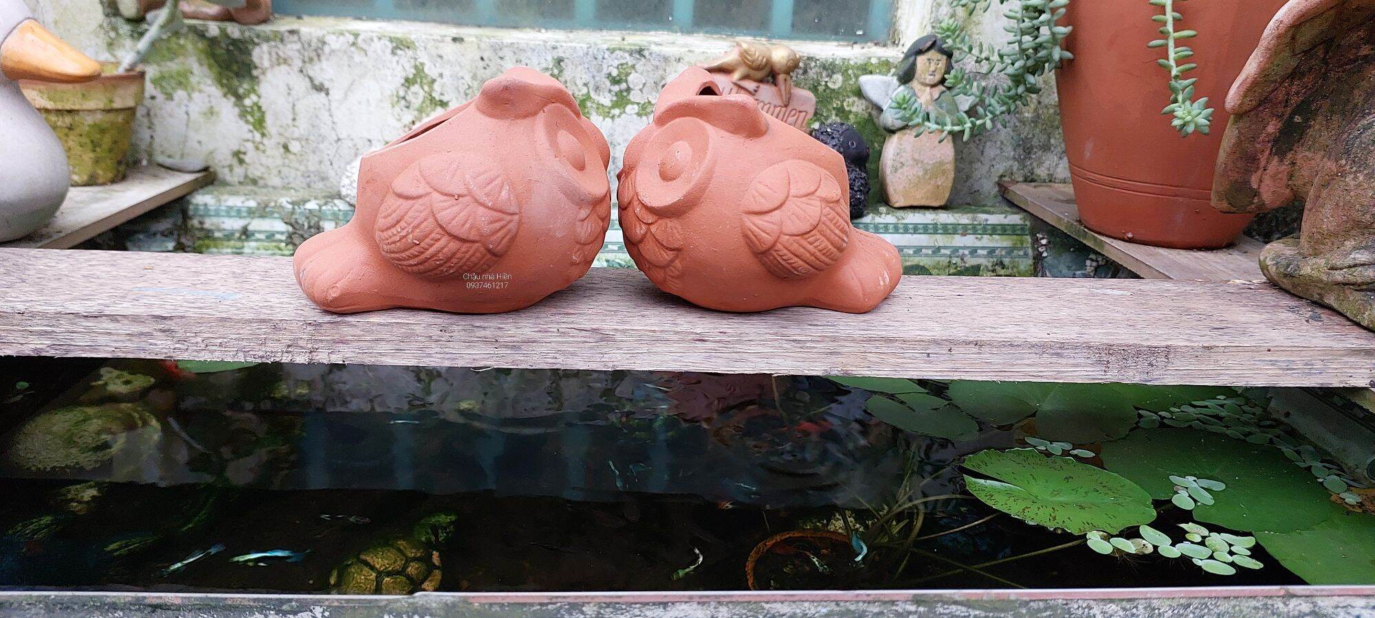 Chậu đất nung Bình Dương hình cú banh đuôi dài