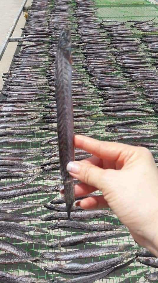 Cá khô kèo vuông bao ăn, khô Cà Mau nhà làm, trợ giá mùa dịch, Cá kèo khô Cà Mau size to, ngon lạt hàng loại 1