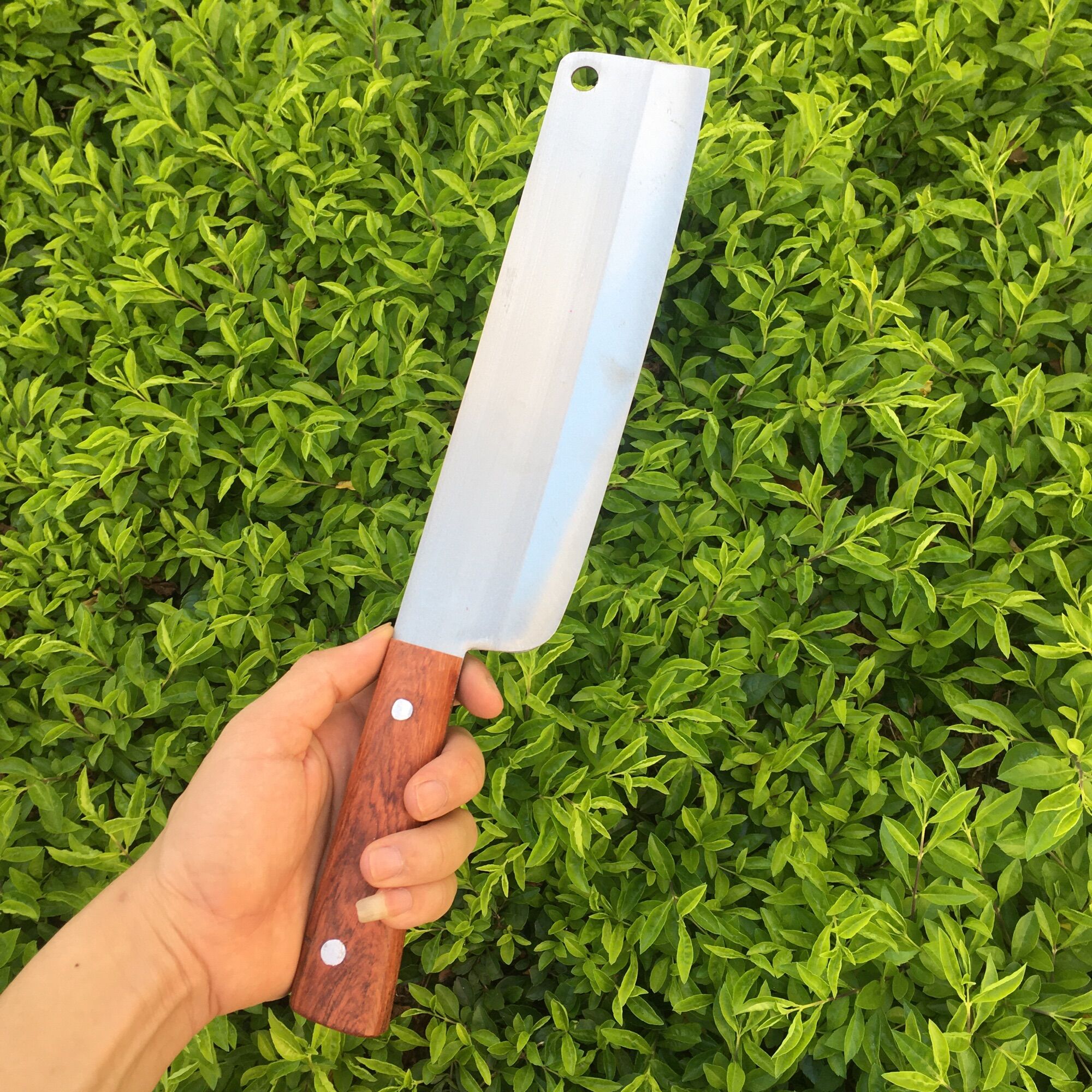 Dao Phúc Sen - Dao Thái Thịt Không Rỉ Siêu Sắc Bén