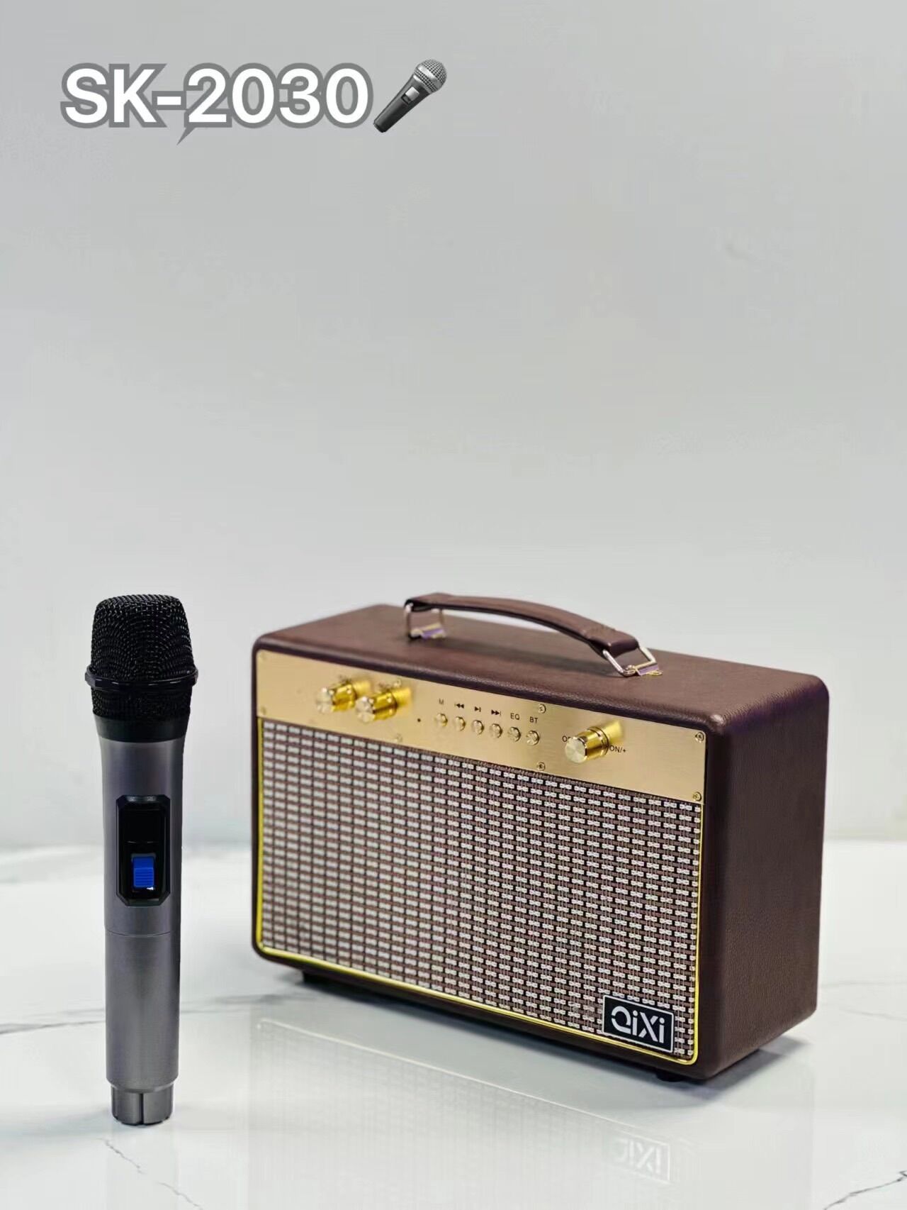 Loa Bluetooth Qixi Sk 2030 kèm 1micro không dây đẳng cấp