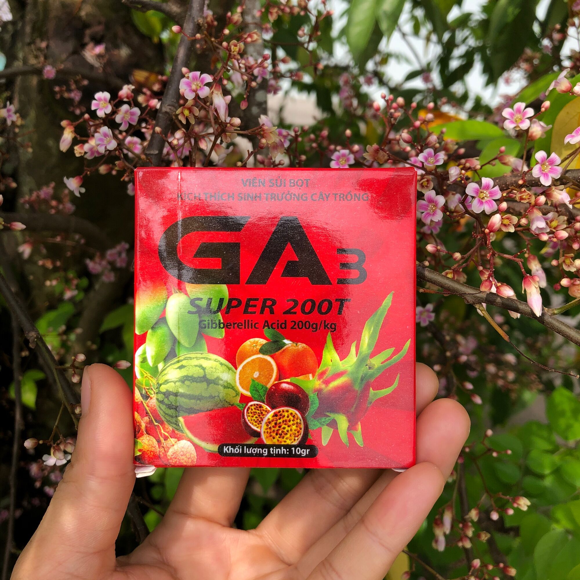 Viên sủi ga3 10gr