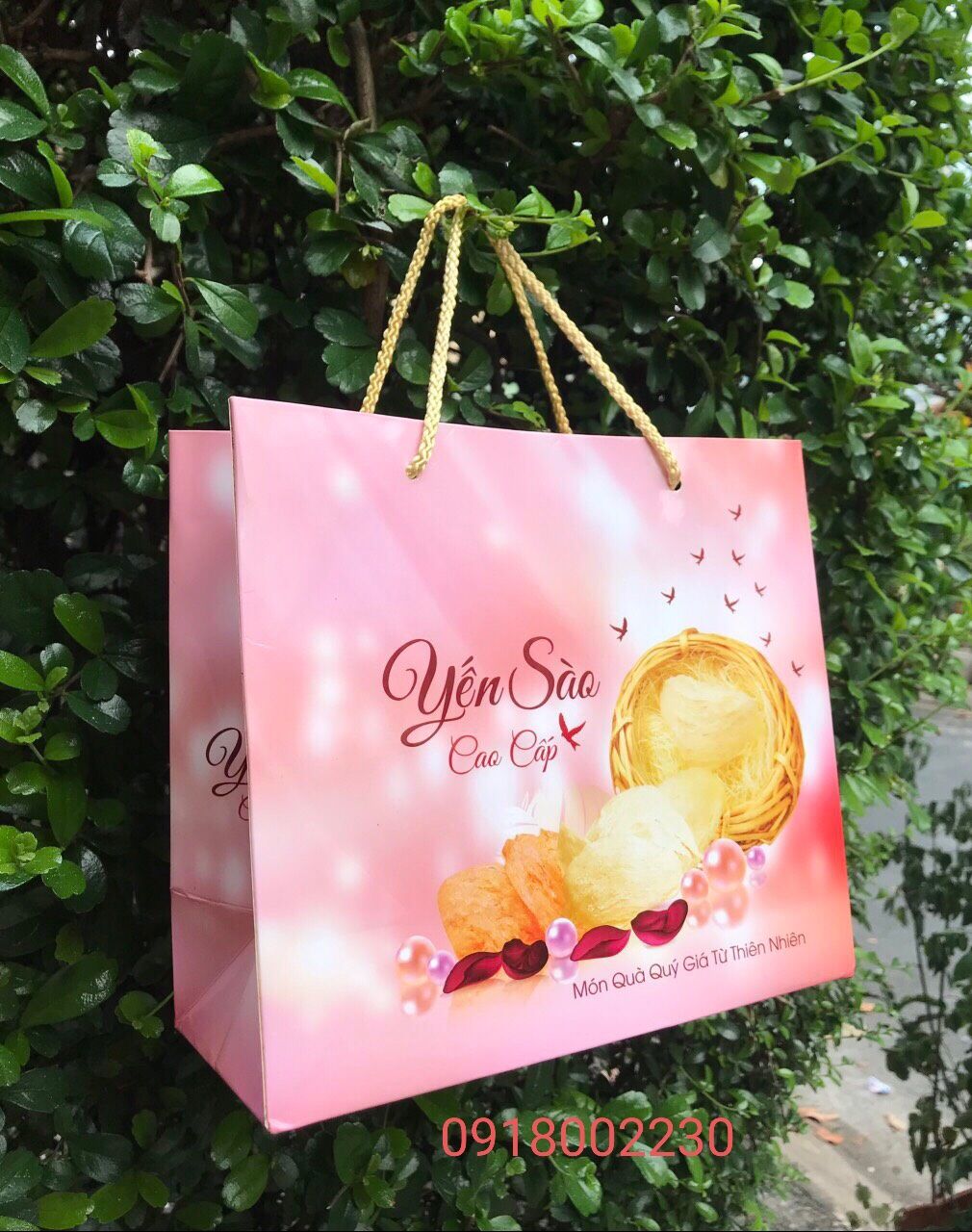 Túi giấy đựng yến sào 50gr