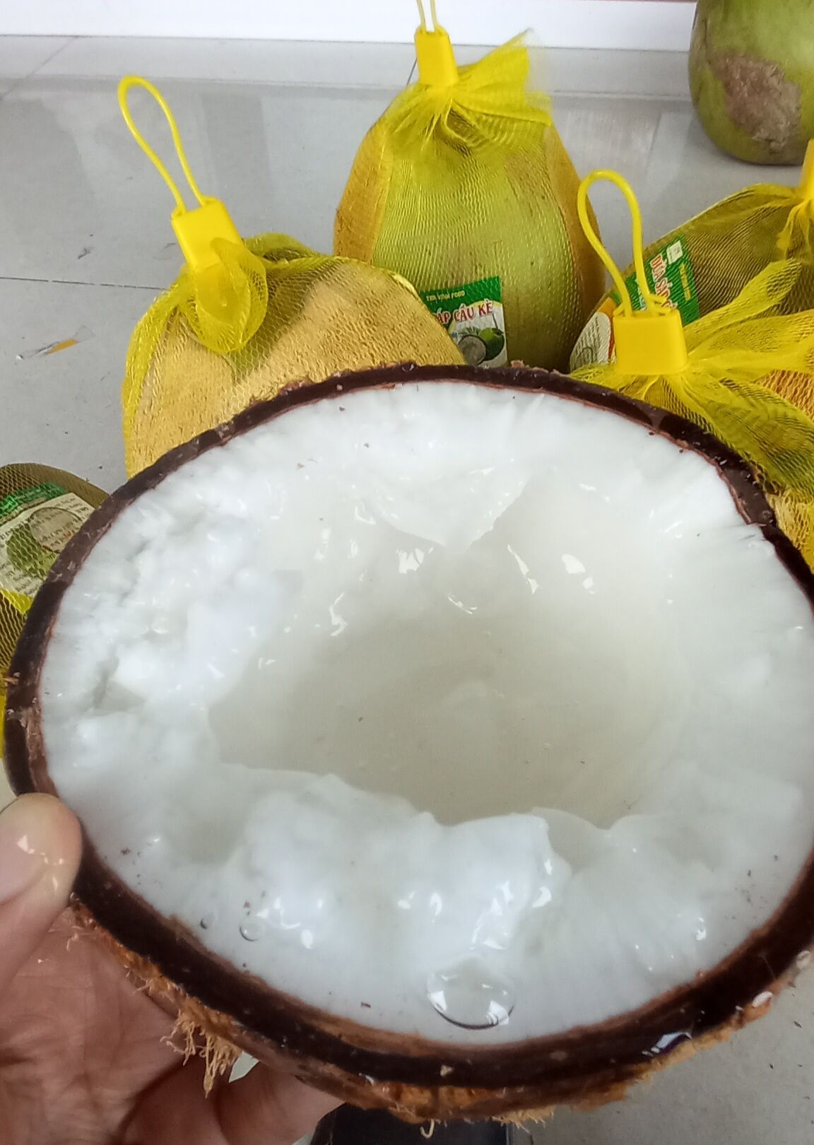 Dừa Sáp Loại 1 Đặc Ruột