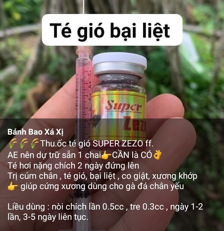 Té gió bại liệt gà chọi gà nòi gà tre gà đá