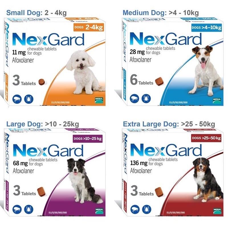 NexGard (1viên) - diệt ve rận, bọ chét ghẻ DEMODEX, SARCOPTES trên chó mèo 10-25kg
