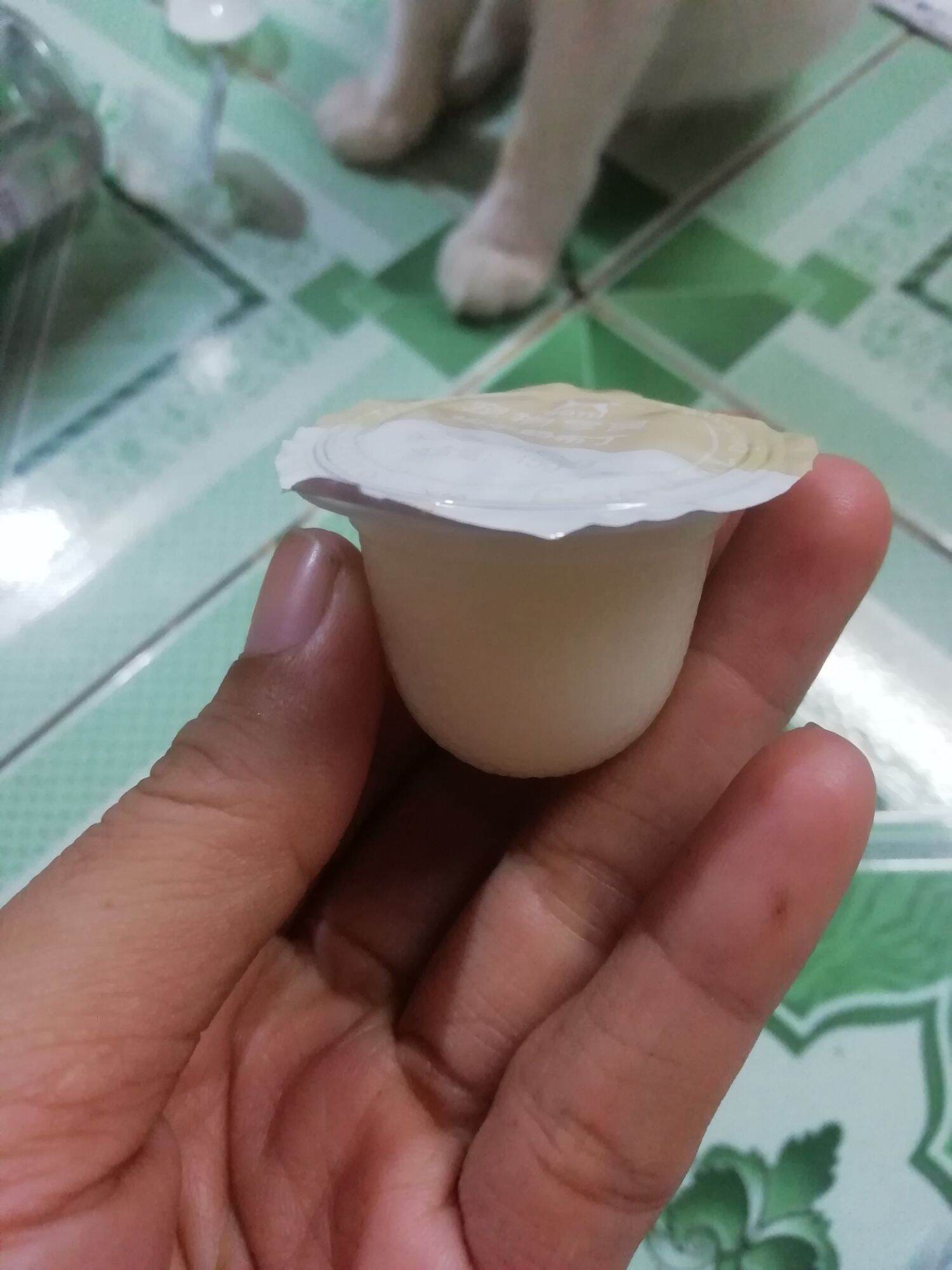 Pudding sữa dê
