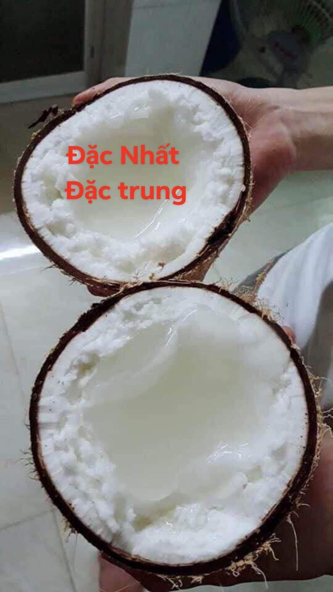 Dừa sáp đặc loại 2 từ 900-1.1kg