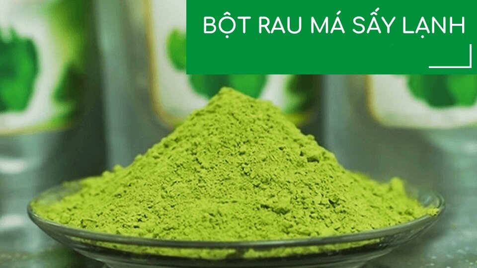 Bột rau má sấy lạnh nguyên chất mát gan đẹp da