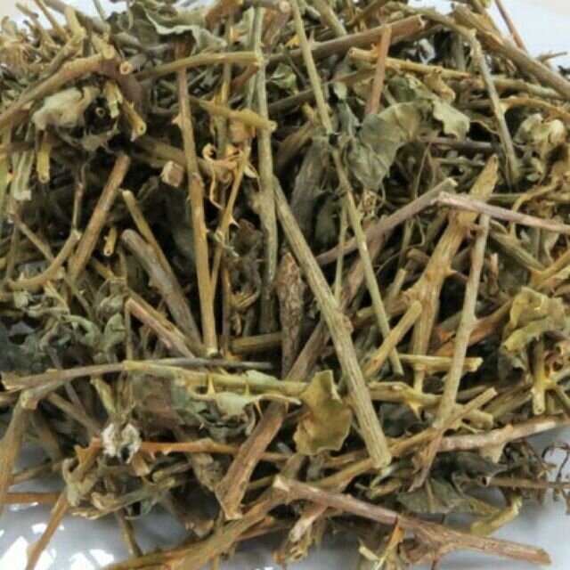 1kg cà gai leo khô đã sao vàng