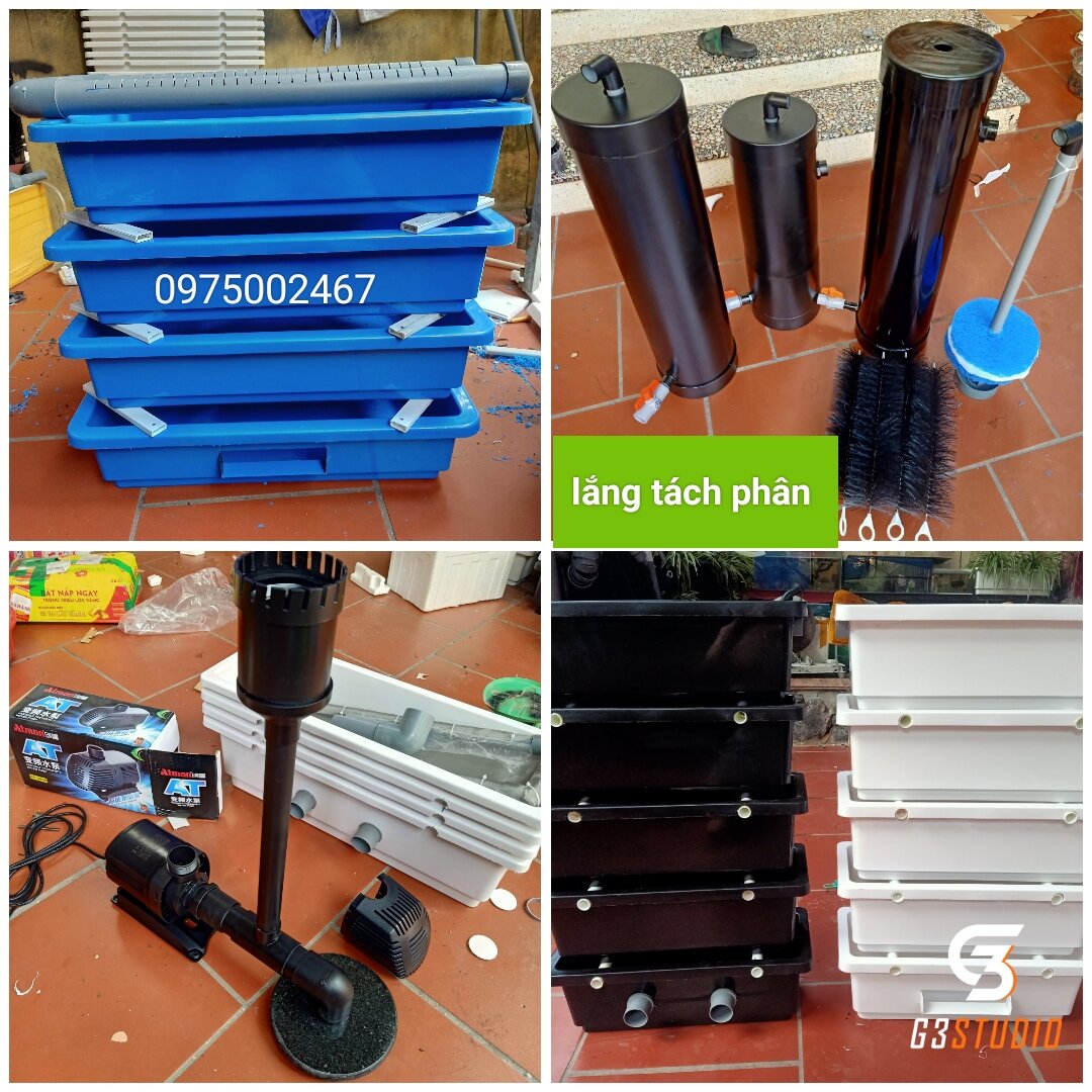 nấm hút đáy ,nấm đáy hồ cá koi