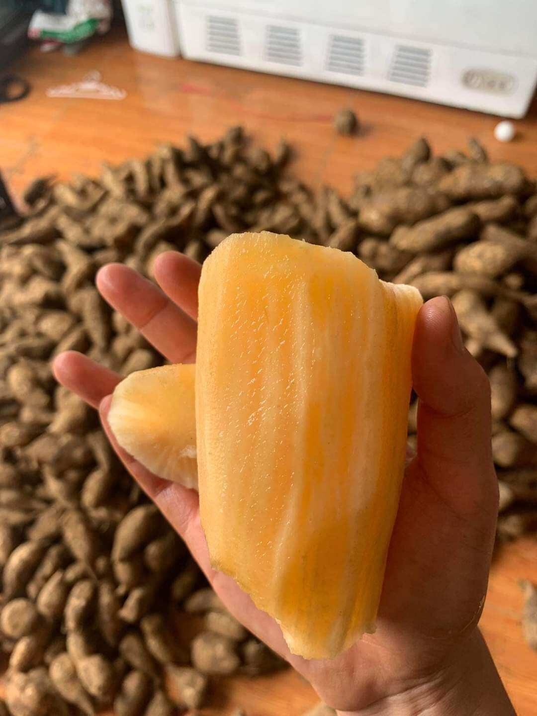 Khoai sâm đất y tý hàng tuyển