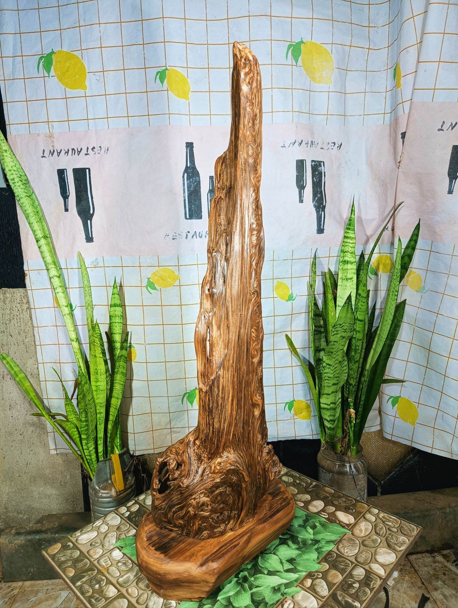 lũa gỗ thơm ngọc am đỏ hà giang