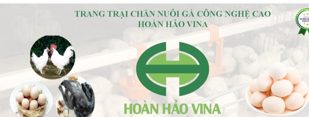 Trứng gà ác (Gà Ri) 2 lòng đỏ Hoàn Hảo (Set 10 trứng)