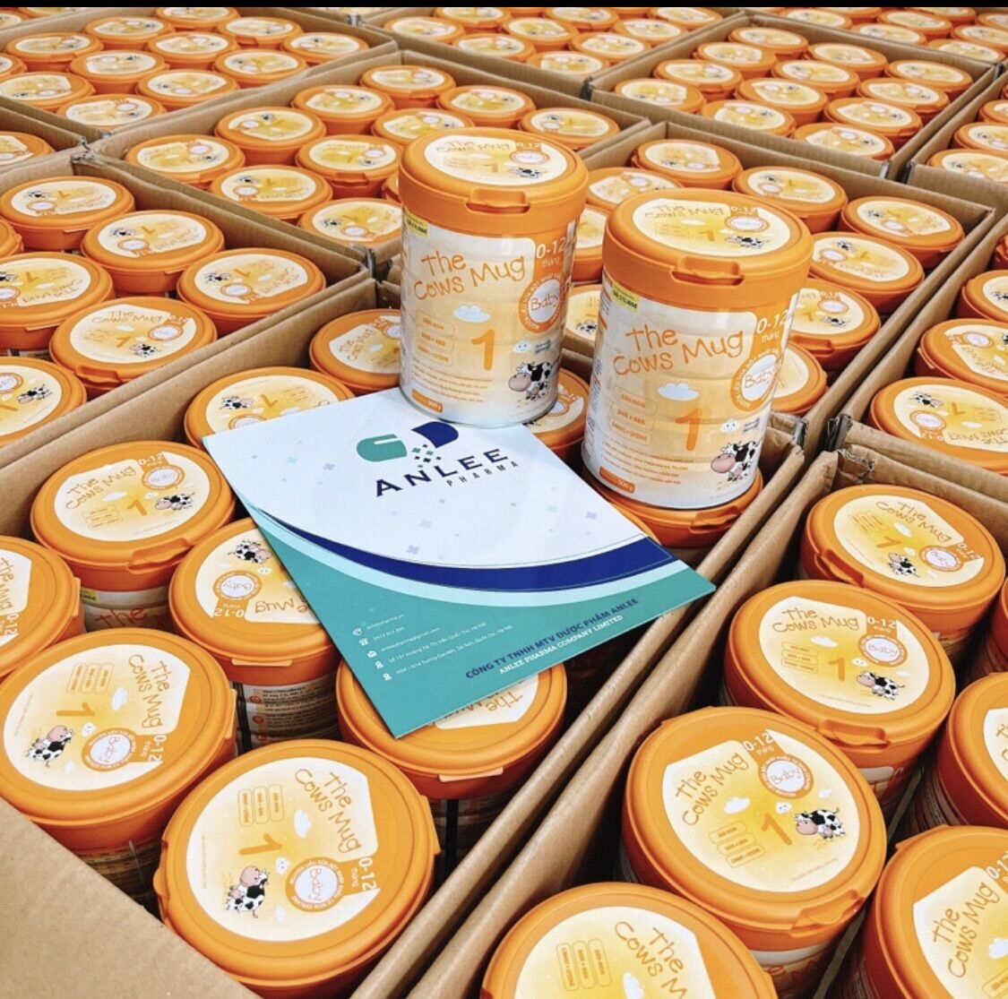 Sữa The cows mug số 1 ( 0-12 tháng tuổi) giúp bé phát triển toàn diện