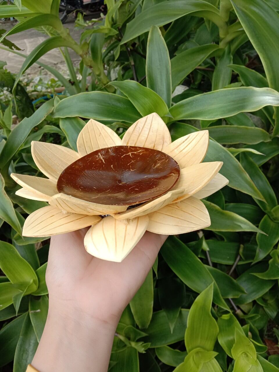 dĩa sen làm từ ráo dừa