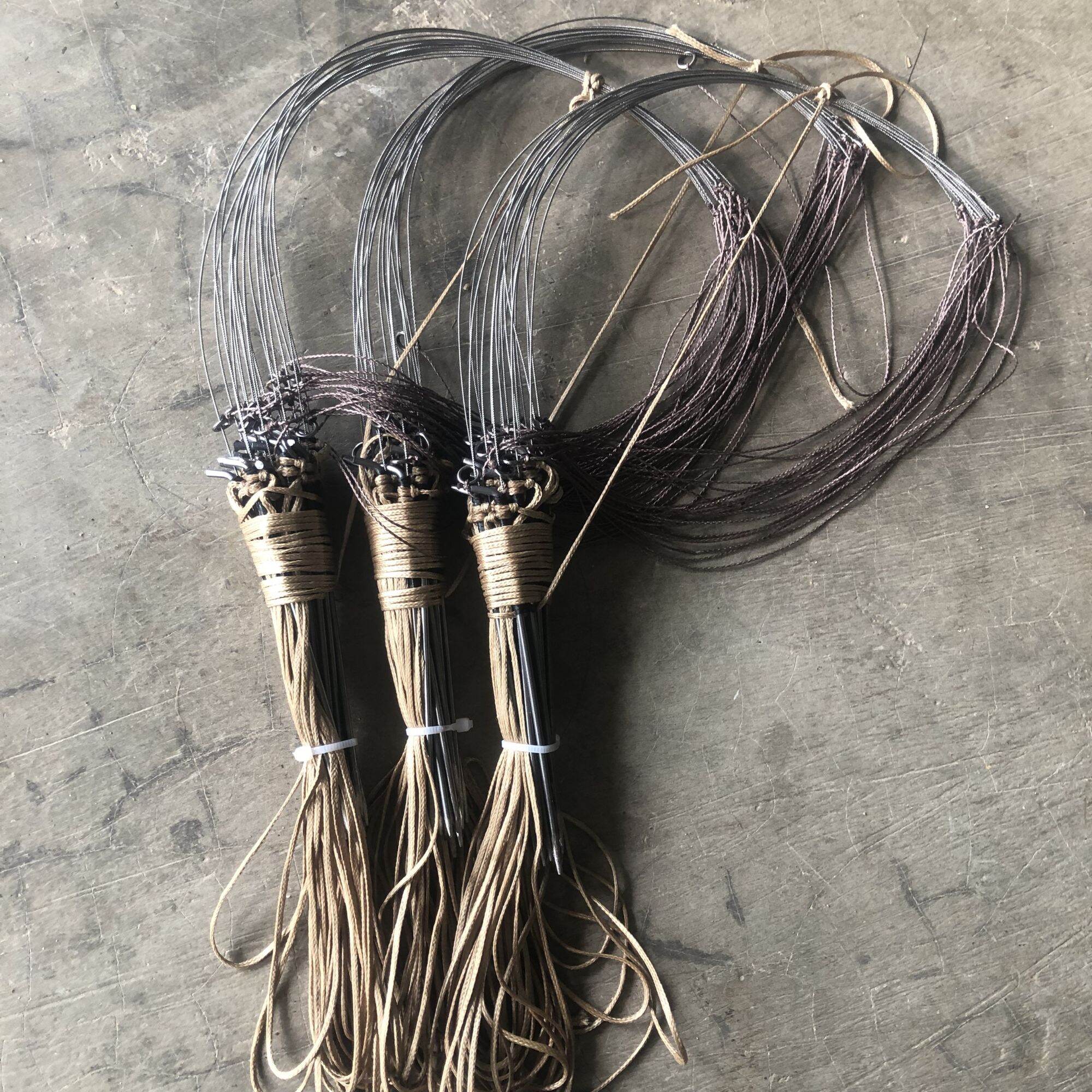 Giò bẫy gà rừng chân thép