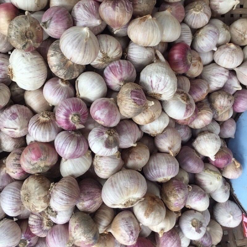 Tỏi cô đơn 1kg