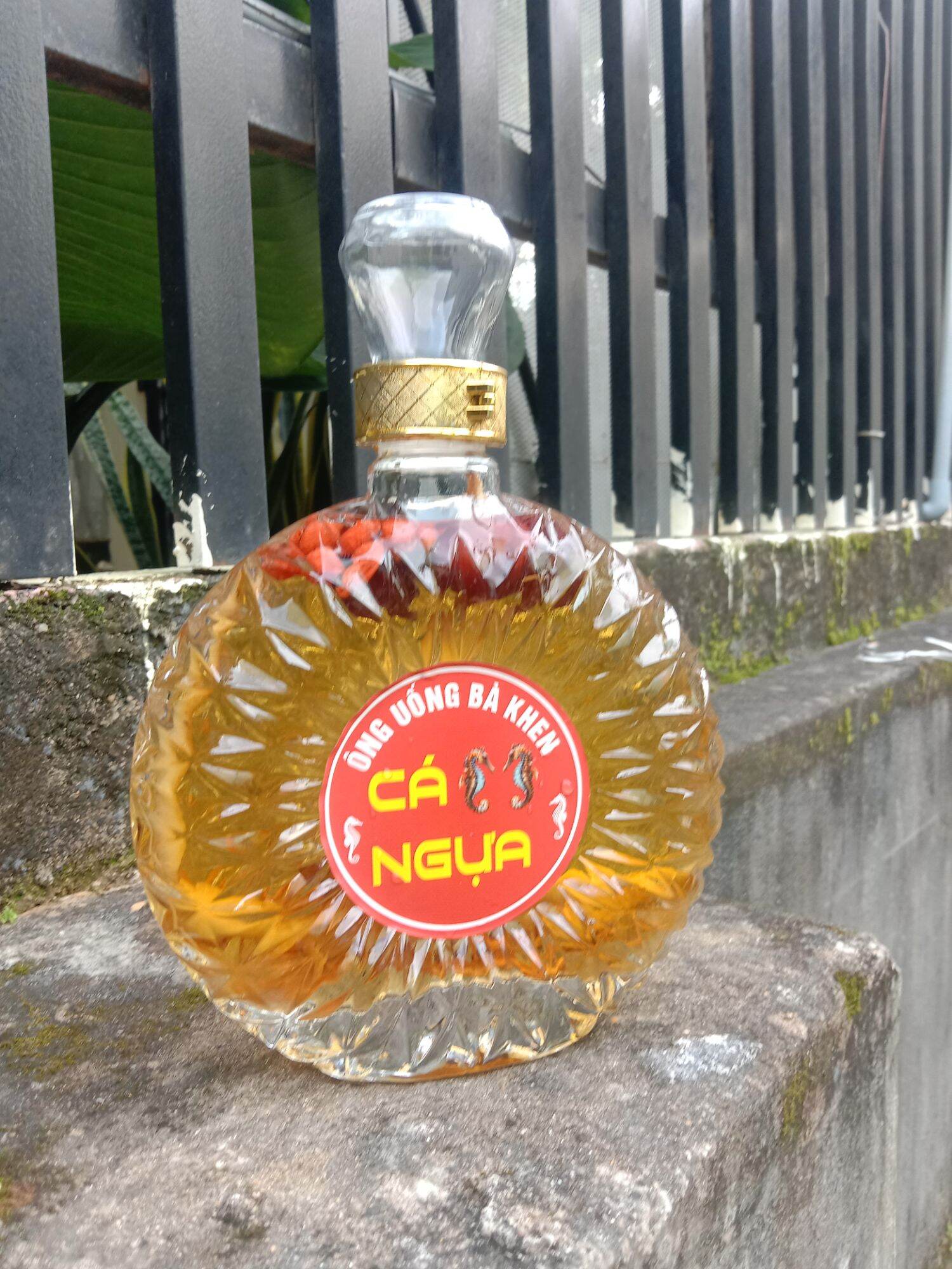 cá ngựa ngâm sẵn chai XO 650ml