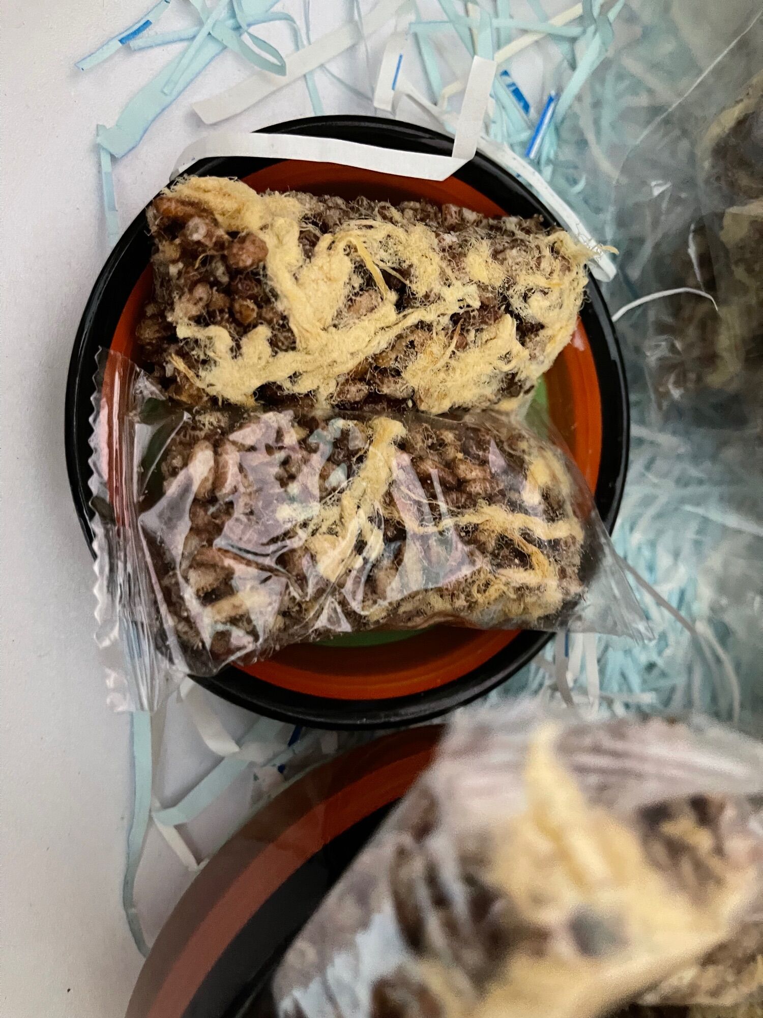 Thanh cơm gạo lứt chà bông túi zip 250gram