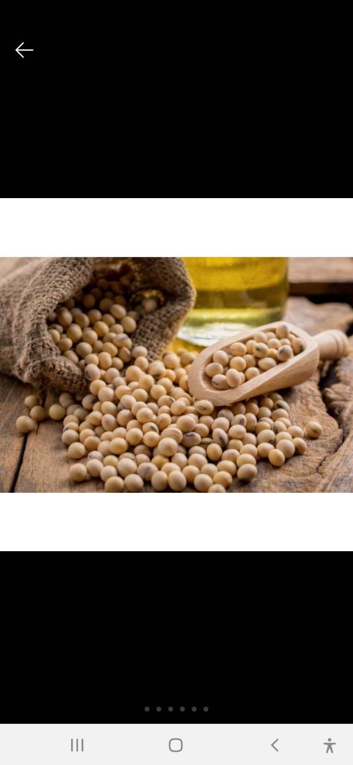 đậu nành (đậu tương) 1 kg