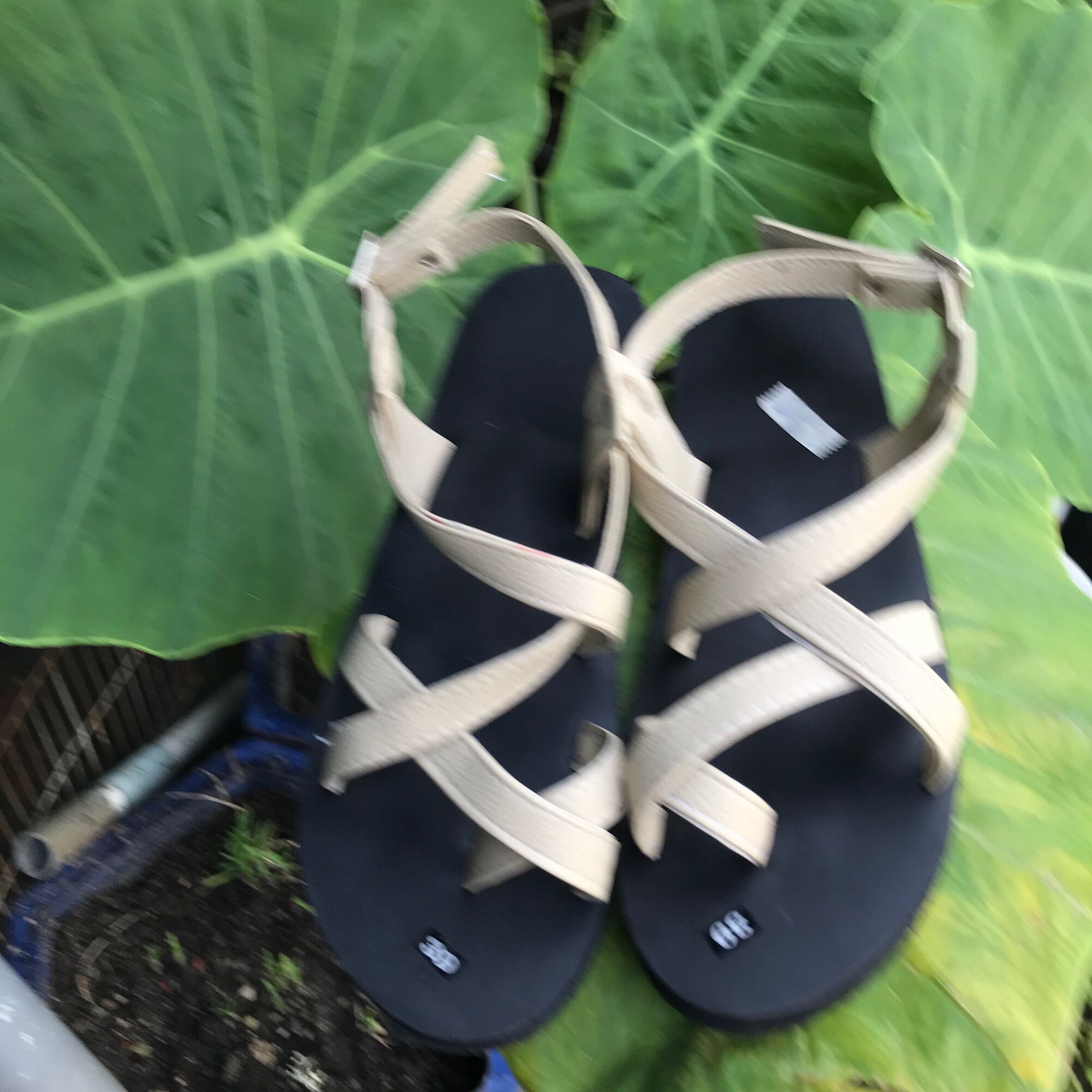 Sandals quai hậu khoá sang chãnh Nam nữ đều được.