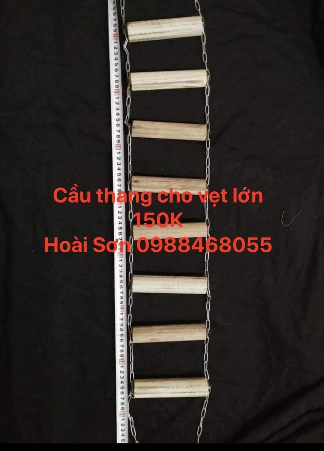 Cầu thang lớn cho vẹt leo