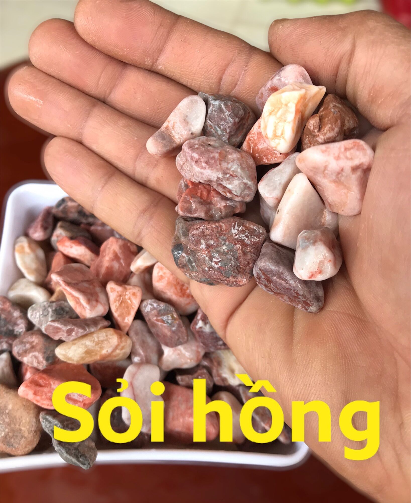 Sỏi màu tự nhiên trang trí (1kg)