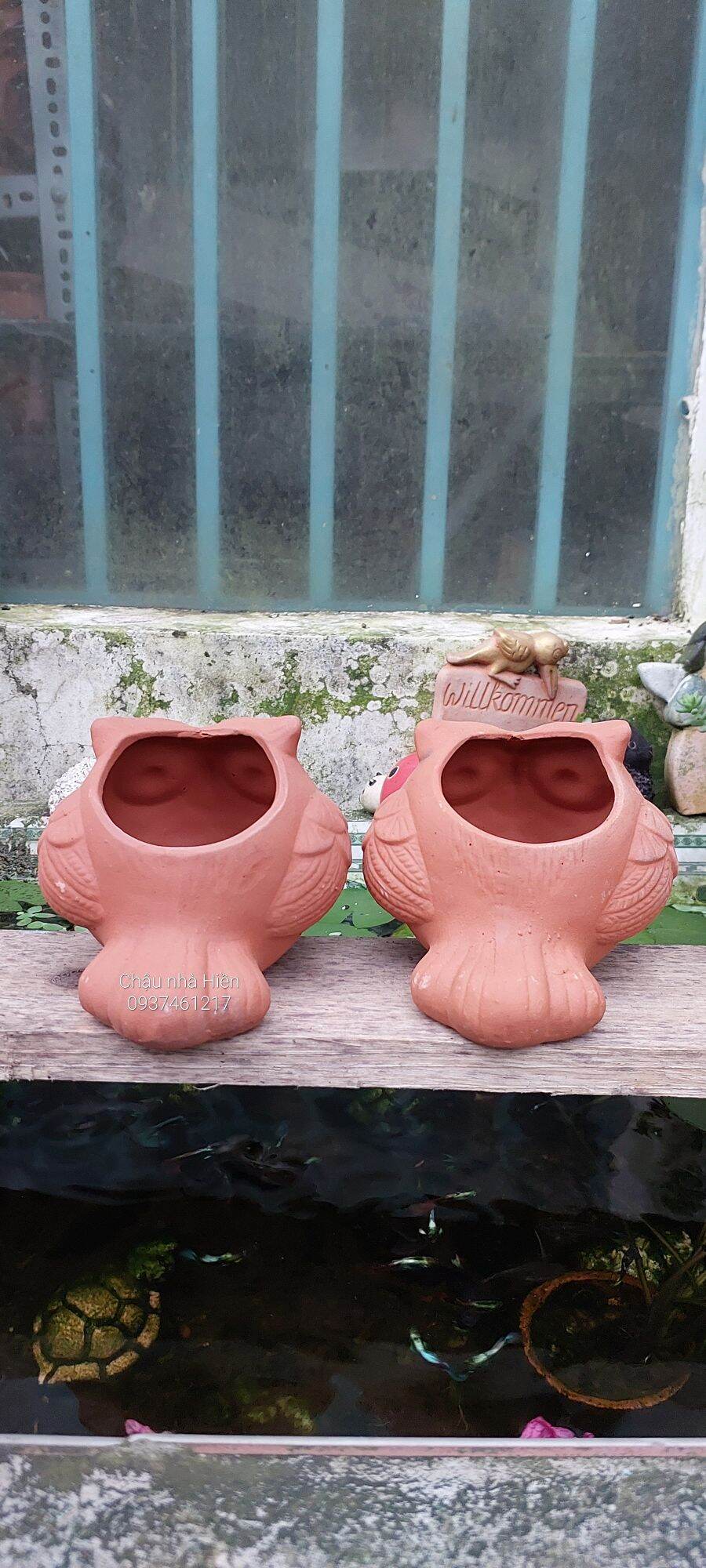 Chậu đất nung Bình Dương hình cú banh đuôi dài
