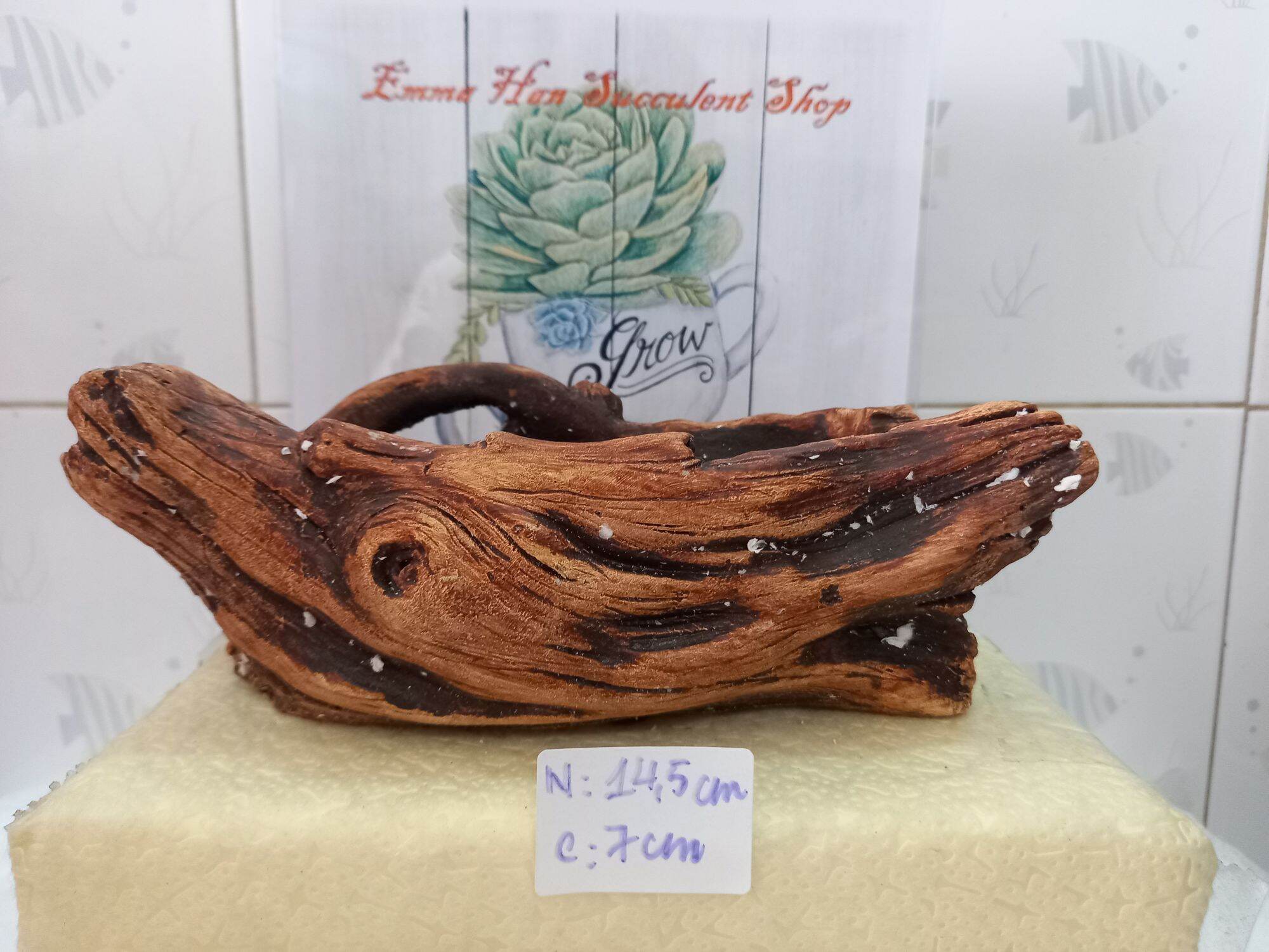 Chậu khúc gỗ-chậu trồng bosai- chậu trồng xương rồng- chậu trồng sen đá