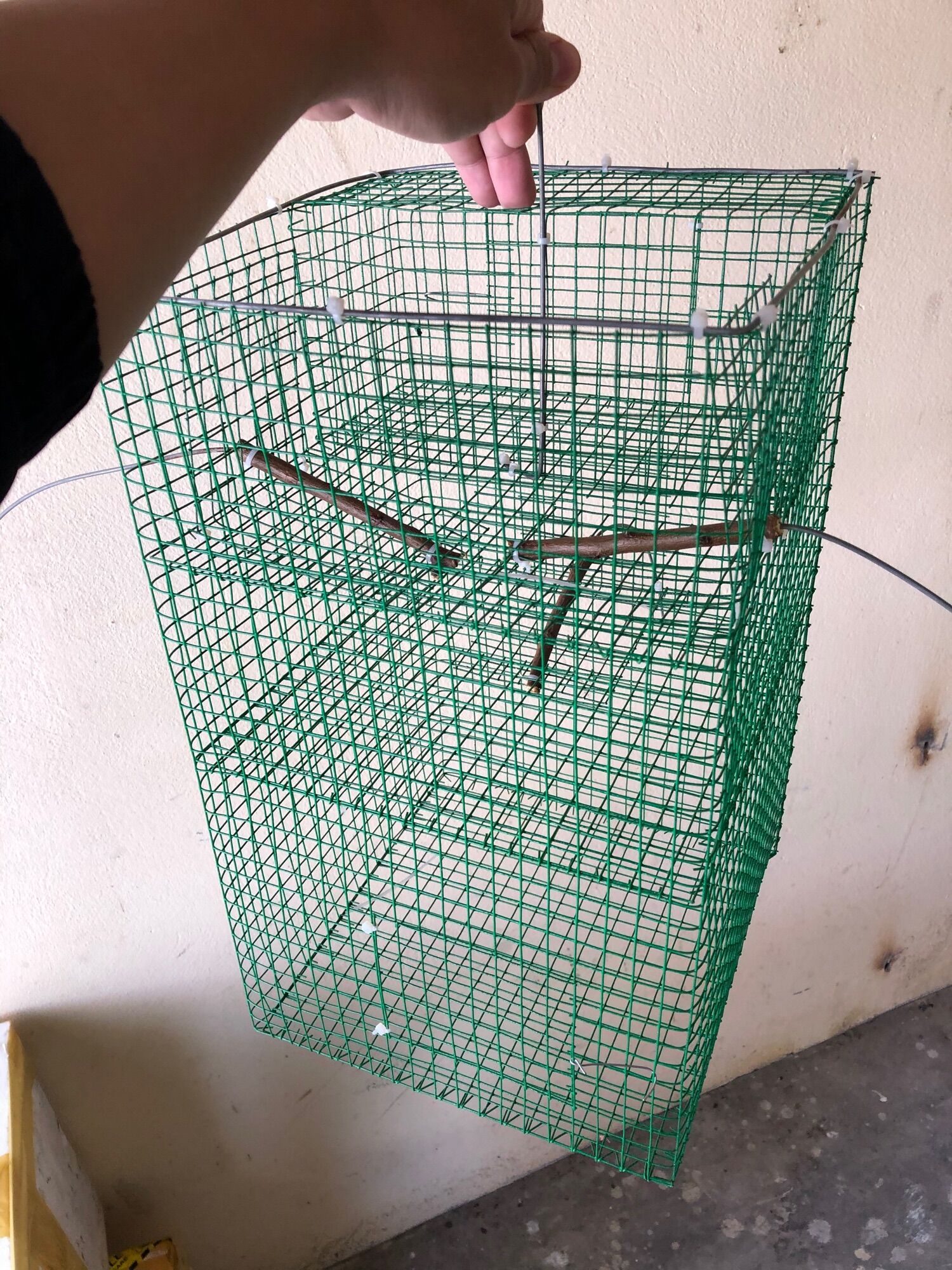 Lồng bẫy chim sẻ