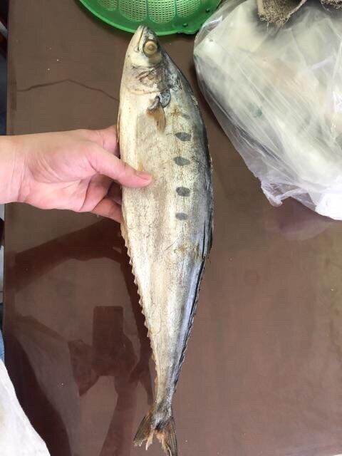 1kg Cá bè bè khô (họ cá thu), thịt thơm chắc