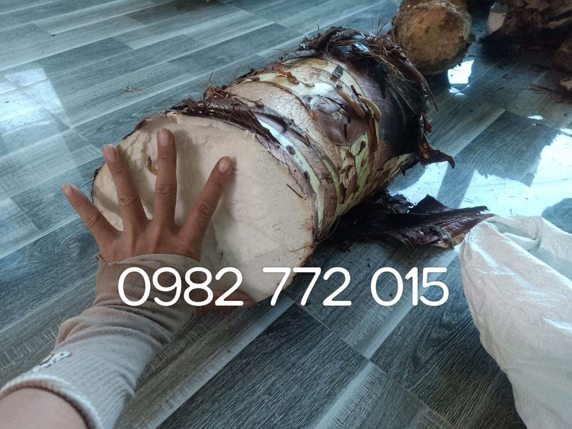 (Mua 5 tặng 1)Combo 5 Kg Củ Bạc Hà Núi Cấm Tri Ung Thu.