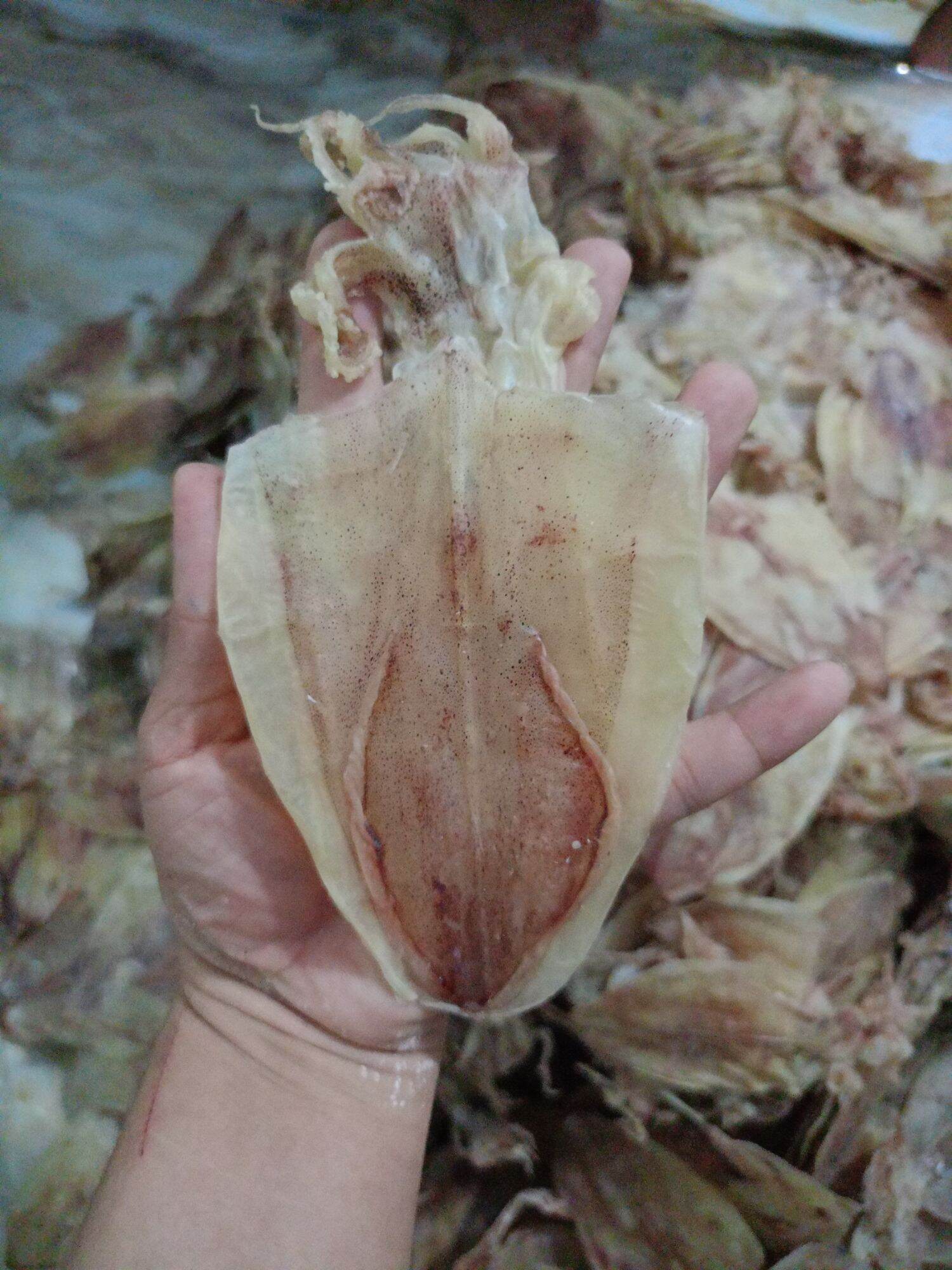 KHÔ MỰC 500gr loại 50_55c 1kg